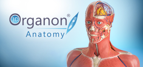 3D Organon Anatomy prices