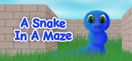 A Snake In A Maze 시스템 조건