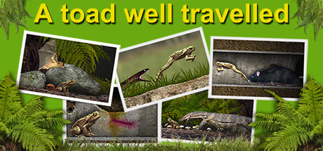 Configuration requise pour jouer à A toad well travelled