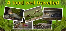 A toad well travelled系统需求