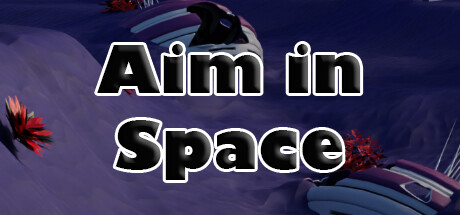 Aim in Space価格 