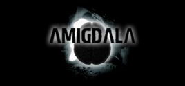 Amigdala価格 