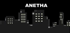 ANETHA System Requirements