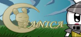 Anica System Requirements