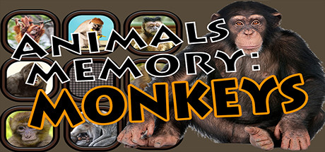 Animals Memory: Monkeys価格 