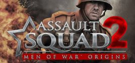 Assault Squad 2: Men of War Origins 价格
