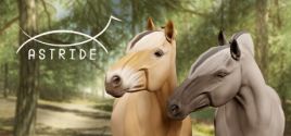 Astride System Requirements