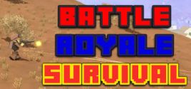 Battle Royale Survival系统需求