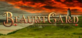 Требования BeaureCard