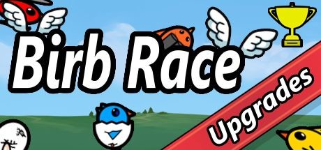 Configuration requise pour jouer à Birb Race