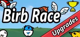 Birb Race 시스템 조건