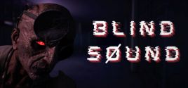 Blind Sound System Requirements