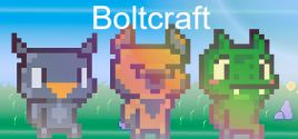 Boltcraft系统需求