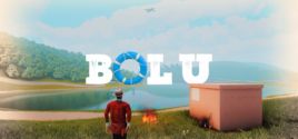 Требования Bolu