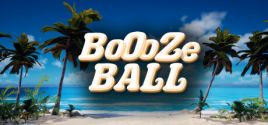 BoozeBall System Requirements