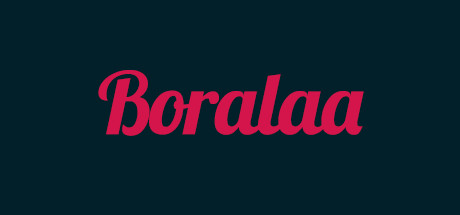 Boralaa系统需求