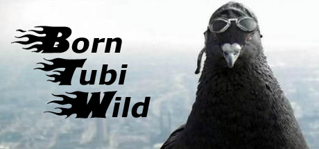 Born Tubi Wild Systemanforderungen