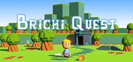 Brichi Questのシステム要件