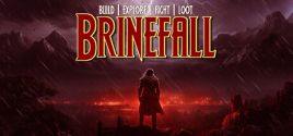 Brinefall System Requirements