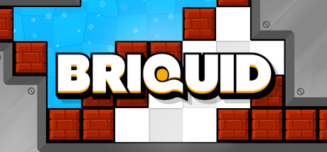 Briquid precios