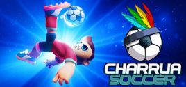 Charrua Soccer - Pro Edition System Requirements