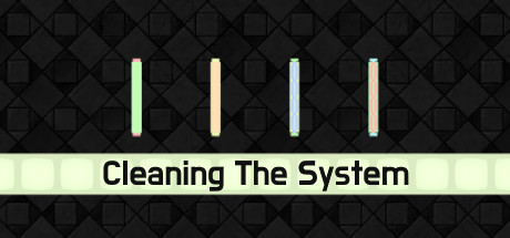 Cleaning The System 가격