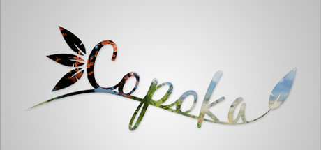 Copoka prices