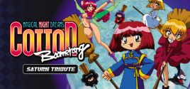 COTTOn Boomerang - Saturn Tribute System Requirements