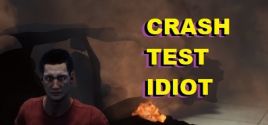 CRASH TEST IDIOT系统需求