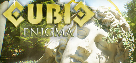 Cubic Enigma 가격