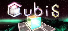 Cubis系统需求