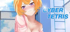 Cyber Tetris系统需求