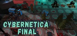 Preise für Cybernetica: Final
