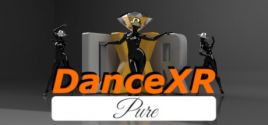 DanceXR Pure系统需求