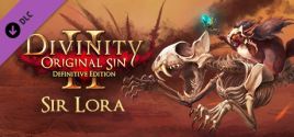 Divinity: Original Sin 2 - Companion: Sir Lora the Squirrel System Requirements