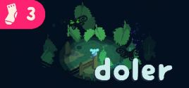 Doler系统需求