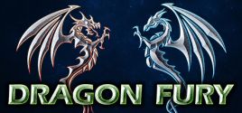 Wymagania Systemowe Dragon Fury