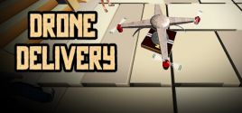 Drone Delivery Requisiti di Sistema