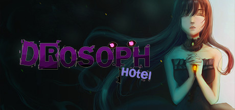 Drosoph Hotel precios