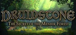 Preise für Druidstone: The Secret of the Menhir Forest