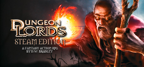 Dungeon Lords Steam Edition 价格