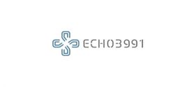 ECHO3991 System Requirements