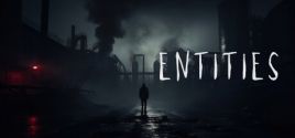 Entities価格 