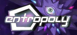 ENTROPOLY System Requirements