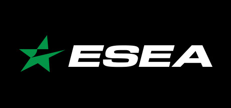 ESEA 시스템 조건