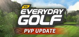 Everyday Golf VR precios