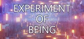 Experiment Of Being系统需求