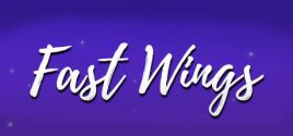 Fast Wings fiyatları