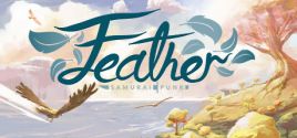 Feather系统需求