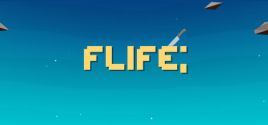 Flife System Requirements
